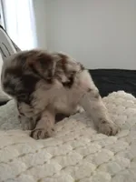 processed/e38c8b72-0717-4954-95e4-54983cbd4ab9/facility/f612ff36-427d-4365-b9a2-51aaaa995616