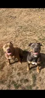 Facility photo