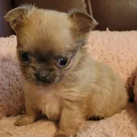 processed/e392aff0-1b0f-49bc-92f6-7c508ecf9962/facility/09e4b56c-0e42-4546-9e69-1ccf6ae2ae35