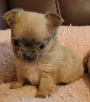 processed/e392aff0-1b0f-49bc-92f6-7c508ecf9962/facility/09e4b56c-0e42-4546-9e69-1ccf6ae2ae35