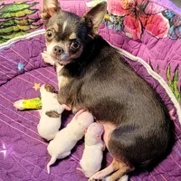 processed/e392aff0-1b0f-49bc-92f6-7c508ecf9962/facility/3f6a8798-b8ca-4a07-9d7d-414028102aaf