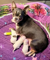 processed/e392aff0-1b0f-49bc-92f6-7c508ecf9962/facility/3f6a8798-b8ca-4a07-9d7d-414028102aaf