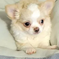 processed/e392aff0-1b0f-49bc-92f6-7c508ecf9962/facility/57452af7-4a41-4c09-a964-5798a04b14f6