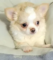 processed/e392aff0-1b0f-49bc-92f6-7c508ecf9962/facility/57452af7-4a41-4c09-a964-5798a04b14f6