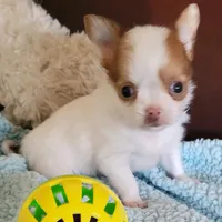 processed/e392aff0-1b0f-49bc-92f6-7c508ecf9962/facility/791cdaa2-b42c-4cad-ba58-6a59c7db0f8f