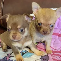 processed/e392aff0-1b0f-49bc-92f6-7c508ecf9962/facility/8726676e-0c30-4d20-aa50-3a0b49c1b3a5