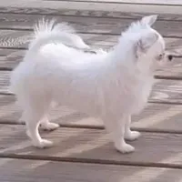 processed/e392aff0-1b0f-49bc-92f6-7c508ecf9962/facility/95d33f96-f552-41f6-be1d-a74eead71076