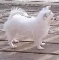 processed/e392aff0-1b0f-49bc-92f6-7c508ecf9962/facility/95d33f96-f552-41f6-be1d-a74eead71076