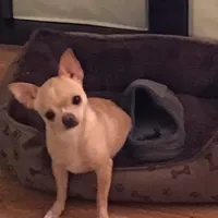 processed/e392aff0-1b0f-49bc-92f6-7c508ecf9962/facility/b256edff-0fe1-414b-b043-1052ba3e99be