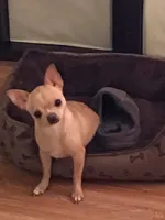 processed/e392aff0-1b0f-49bc-92f6-7c508ecf9962/facility/b256edff-0fe1-414b-b043-1052ba3e99be