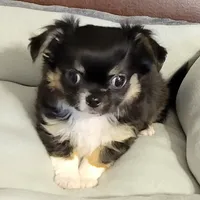 processed/e392aff0-1b0f-49bc-92f6-7c508ecf9962/facility/b64f250e-1b6d-4ea7-8e45-b6186a148751