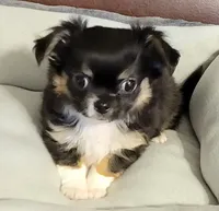 processed/e392aff0-1b0f-49bc-92f6-7c508ecf9962/facility/b64f250e-1b6d-4ea7-8e45-b6186a148751