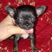 processed/e392aff0-1b0f-49bc-92f6-7c508ecf9962/facility/cc0c5d6d-9168-4304-abfc-c1e6fb151815