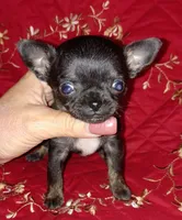 processed/e392aff0-1b0f-49bc-92f6-7c508ecf9962/facility/cc0c5d6d-9168-4304-abfc-c1e6fb151815