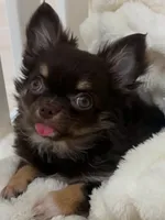 processed/e392aff0-1b0f-49bc-92f6-7c508ecf9962/listing/5d5f6e10-23d9-431f-b1b7-73c2deaddb9a/bda299a1-37ff-47d5-a85f-bff562498119