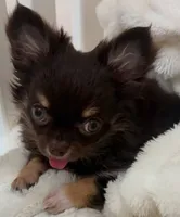 processed/e392aff0-1b0f-49bc-92f6-7c508ecf9962/listing/5d5f6e10-23d9-431f-b1b7-73c2deaddb9a/c1b37293-453f-41d7-af62-04bf003f42e9