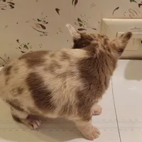 processed/e392aff0-1b0f-49bc-92f6-7c508ecf9962/listing/79e6f668-6298-4076-a5db-86b5c5b1496a/1a9a0ea4-7bd1-43a9-ad57-09a9d3555986