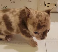 processed/e392aff0-1b0f-49bc-92f6-7c508ecf9962/listing/79e6f668-6298-4076-a5db-86b5c5b1496a/77ed64cf-3b8d-4d4b-b866-3e2731d05ac7