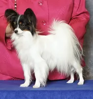 processed/e393c2f7-2b4f-427e-94f6-ae7a3162ad4b/listing/9a48cc6c-cc6d-4f67-aa1d-0b7281f73474/957b1c16-df31-4d4d-aaf0-84e3814d5e72