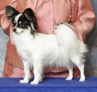 processed/e393c2f7-2b4f-427e-94f6-ae7a3162ad4b/listing/9a48cc6c-cc6d-4f67-aa1d-0b7281f73474/aed76965-fae2-4da3-b227-b95cdc8b999c