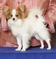 processed/e393c2f7-2b4f-427e-94f6-ae7a3162ad4b/listing/9a48cc6c-cc6d-4f67-aa1d-0b7281f73474/e80347f4-9396-4fed-8f3b-826462a5e5e8