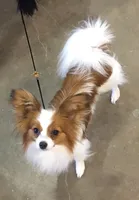 processed/e393c2f7-2b4f-427e-94f6-ae7a3162ad4b/listing/9a48cc6c-cc6d-4f67-aa1d-0b7281f73474/f05c5bf6-5f17-47f1-80e6-f2f279b7efa9