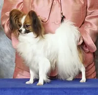 processed/e393c2f7-2b4f-427e-94f6-ae7a3162ad4b/listing/9a48cc6c-cc6d-4f67-aa1d-0b7281f73474/fea8b90b-05f9-4d18-95d4-8b2c2416a657