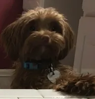 processed/e394beda-82bb-4b82-8801-79de63e93fc6/facility/557ad841-9bdc-4aa9-961e-58505a31523d