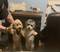 processed/e394beda-82bb-4b82-8801-79de63e93fc6/facility/9052926a-1a67-4ecb-b682-e55522b61983