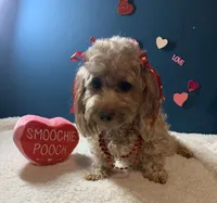 processed/e394beda-82bb-4b82-8801-79de63e93fc6/facility/d5dab0f0-28b9-4369-b2bc-1776b17360bb