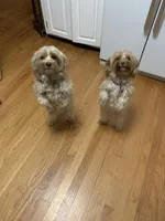 processed/e394beda-82bb-4b82-8801-79de63e93fc6/facility/db291bb4-d306-4eff-b7a2-6dfe7369c14f