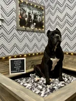 processed/e3aa1425-d18b-4034-b877-a9db627ccb04/facility/3b399467-109f-4625-94a4-9b60148ec51f