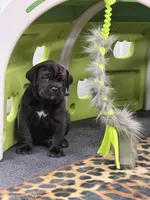 processed/e3aa1425-d18b-4034-b877-a9db627ccb04/facility/53ec8a9a-fefc-4066-84bf-140ed75ab9a4