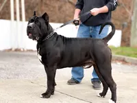 processed/e3aa1425-d18b-4034-b877-a9db627ccb04/facility/64dc2e3c-4b08-4968-8e4c-9578450e0cb6