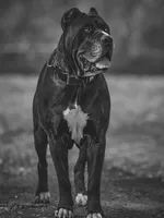 processed/e3aa1425-d18b-4034-b877-a9db627ccb04/facility/981067d5-3bde-476d-ab60-2abb3741db58