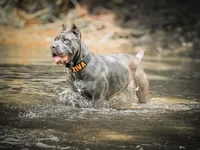 processed/e3aa1425-d18b-4034-b877-a9db627ccb04/facility/c72243e6-5891-403d-9d57-2c53467dd091