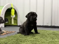 processed/e3aa1425-d18b-4034-b877-a9db627ccb04/facility/d7a96d2f-699f-4c1b-b7ba-17a192df4230