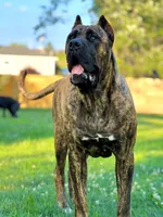 processed/e3aa1425-d18b-4034-b877-a9db627ccb04/facility/d80a1ff0-e0f5-47b5-8f2b-c9991e34b1e5