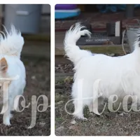 processed/e3aa3769-69c2-43d2-8a6d-2bb82aabeaf8/facility/15a088af-e299-4196-b328-95201445c0e8