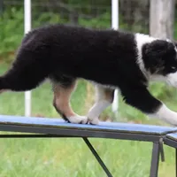 processed/e3aa3769-69c2-43d2-8a6d-2bb82aabeaf8/facility/810aafa9-e3ee-4682-ba4a-d1ea3e29e798