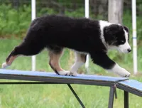 processed/e3aa3769-69c2-43d2-8a6d-2bb82aabeaf8/facility/810aafa9-e3ee-4682-ba4a-d1ea3e29e798