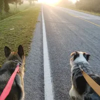 processed/e3aa3769-69c2-43d2-8a6d-2bb82aabeaf8/facility/daba156c-42f4-42eb-8392-0d9dc2810696