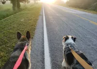 processed/e3aa3769-69c2-43d2-8a6d-2bb82aabeaf8/facility/daba156c-42f4-42eb-8392-0d9dc2810696