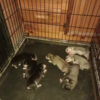 processed/e3aed293-20c0-42b8-b46a-05ae0c9c5033/facility/1464ca5e-8596-46b5-83e5-669aee7b3f74