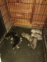 processed/e3aed293-20c0-42b8-b46a-05ae0c9c5033/facility/1464ca5e-8596-46b5-83e5-669aee7b3f74