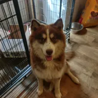 processed/e3aed293-20c0-42b8-b46a-05ae0c9c5033/facility/1d12fbe3-3706-4362-a07a-f60f12f3ac10