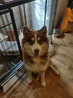 processed/e3aed293-20c0-42b8-b46a-05ae0c9c5033/facility/1d12fbe3-3706-4362-a07a-f60f12f3ac10