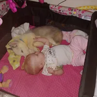 processed/e3aed293-20c0-42b8-b46a-05ae0c9c5033/facility/48e0fe4d-ad49-4e7f-9ae6-0ecf8e7803b5