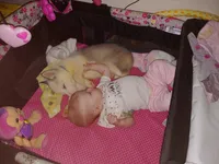 processed/e3aed293-20c0-42b8-b46a-05ae0c9c5033/facility/48e0fe4d-ad49-4e7f-9ae6-0ecf8e7803b5