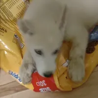 processed/e3aed293-20c0-42b8-b46a-05ae0c9c5033/facility/4e9b3114-1494-491f-a196-43b90bf53171